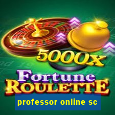 professor online sc